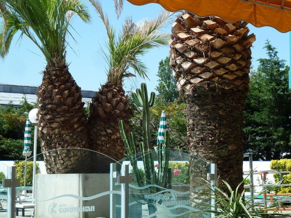 Hotel Cormoran Ριτσόνε Εξωτερικό φωτογραφία